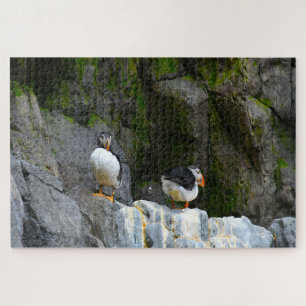 Puzzle Puffins de l'Atlantique.