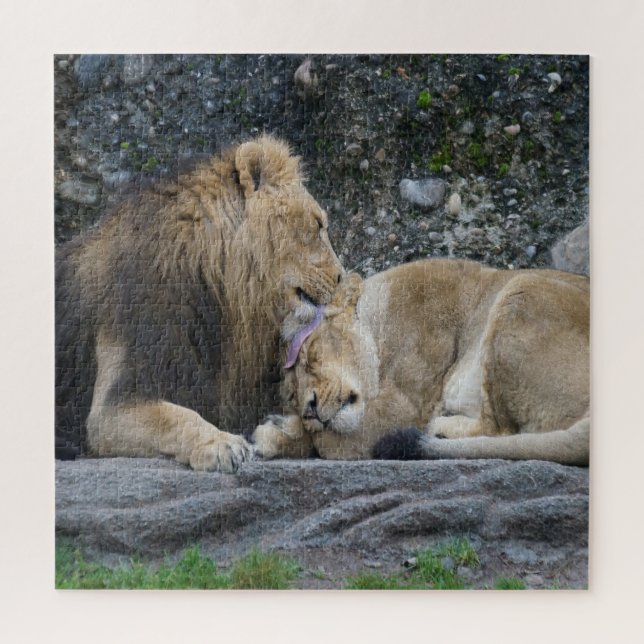 Puzzle Puissant amour Lion (Vertical)