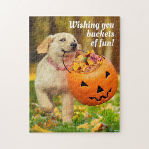 Puzzle Puppy With Pumpkin Bucket