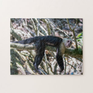 Puzzle Pura vida pour singe capucin à tête blanche