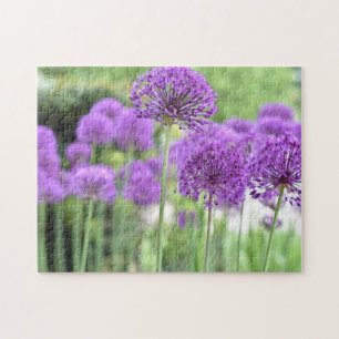 Puzzle Purple Allium Flower Nature Photojardin