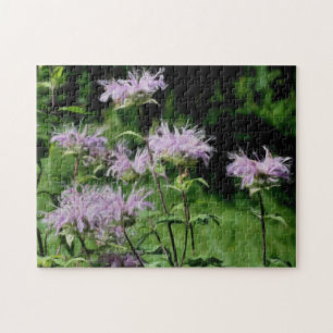 Puzzle Purple Bee Balm Flowers Photo Peinture
