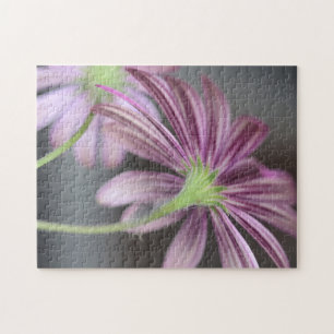 Puzzle Purple Daisy Flower - Photographie de la nature