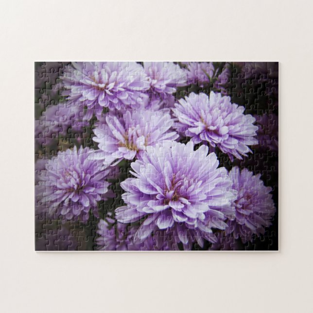 Puzzle Purple Haze Chrysanthemums (Horizontal)