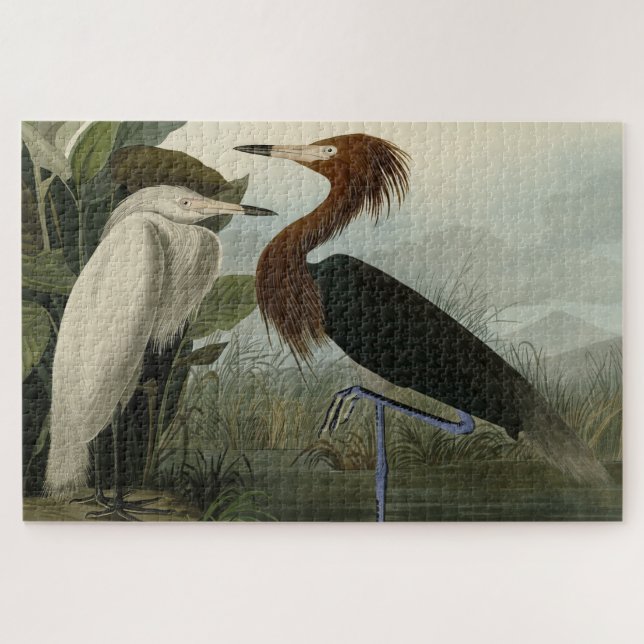 Puzzle Purple Heron - de Audubon's Birds of America (Horizontal)