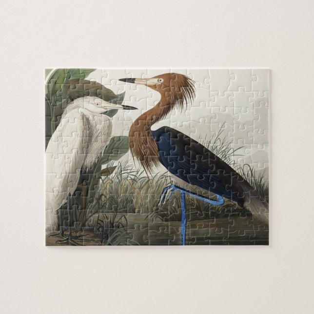 Puzzle Purple Heron from Birds of America (Horizontal)
