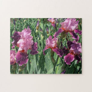 Puzzle Purple Irises Printemps Floral