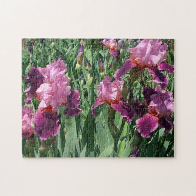 Puzzle Purple Irises Printemps Floral (Horizontal)