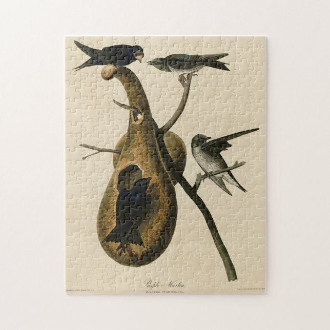Puzzle Purple Martin de Audubon's Birds of America (Vertical)