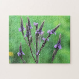 Puzzle Purple Vervain Fleur sauvage peinture photo
