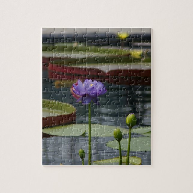 Puzzle Purple Waterlily (Vertical)