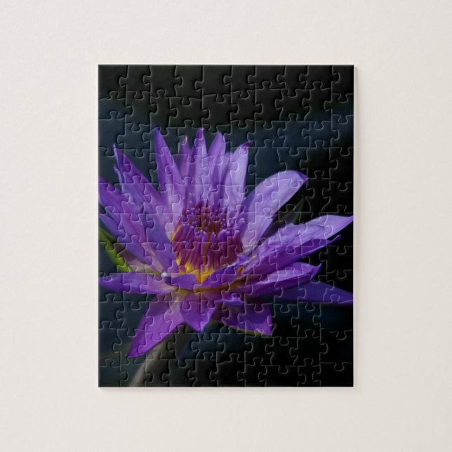 Puzzle Purple Waterlily (Vertical)