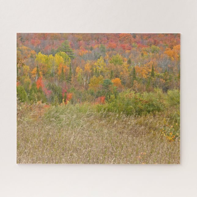 PUZZLE PUZZLE/"CAMPAGNE VIBRANTE EN AUTOMNE" (Horizontal)