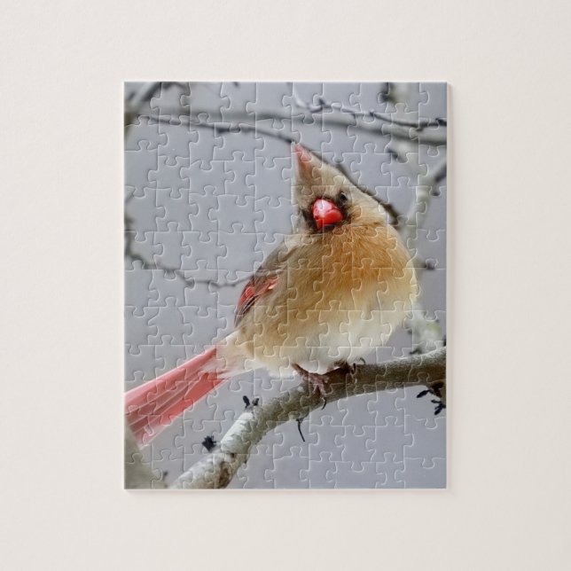 Puzzle puzzle_Cardinal_femelle (Vertical)