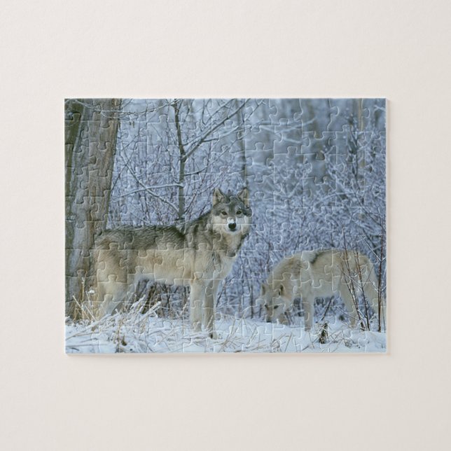 Puzzle Puzzle-Loups de la faune (Horizontal)