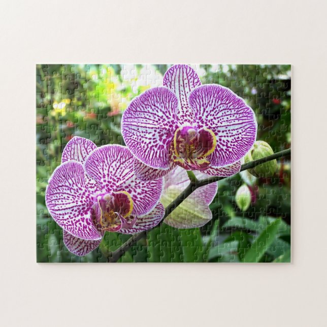 Puzzle Puzzle Purple Orchidées Freckled (Horizontal)