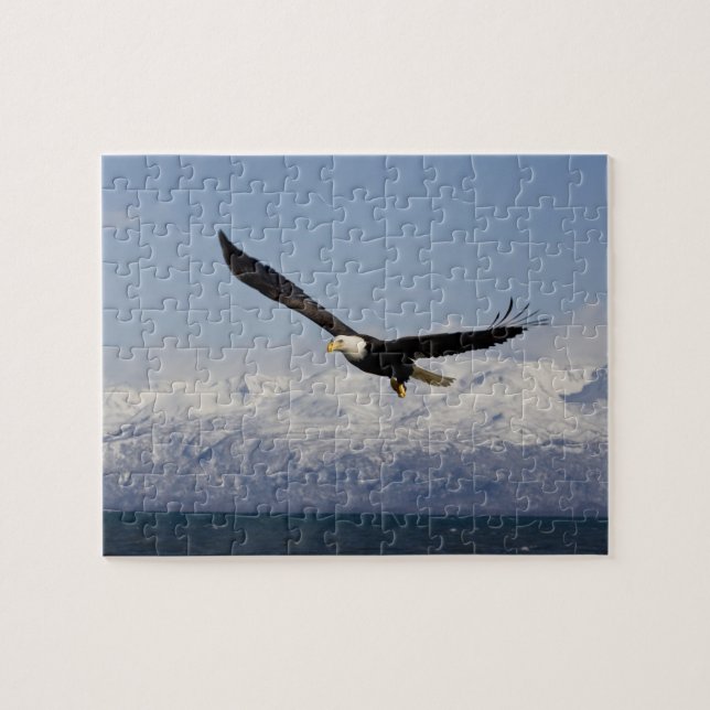 Puzzle Pygargue à tête blanche en vol, Haliaeetus leucoce (Horizontal)