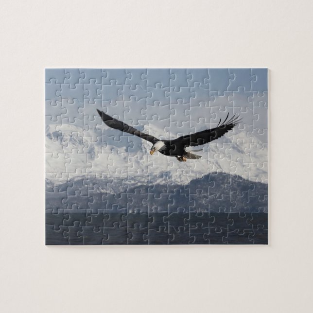 Puzzle Pygargue à tête blanche en vol, Haliaeetus leucoce (Horizontal)