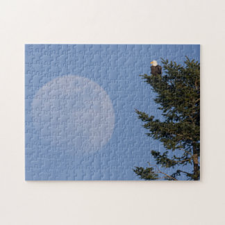 Puzzle Pygargue à tête blanche | Pleine lune montante