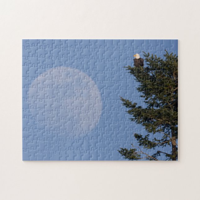 Puzzle Pygargue à tête blanche | Pleine lune montante (Horizontal)