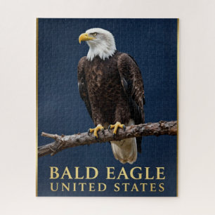 Puzzle 🦅 Pygargue à tête blanche Wilderness américain
