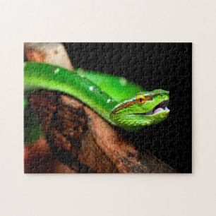 Puzzle Python à l'arbre vert, casse-tête à la scie