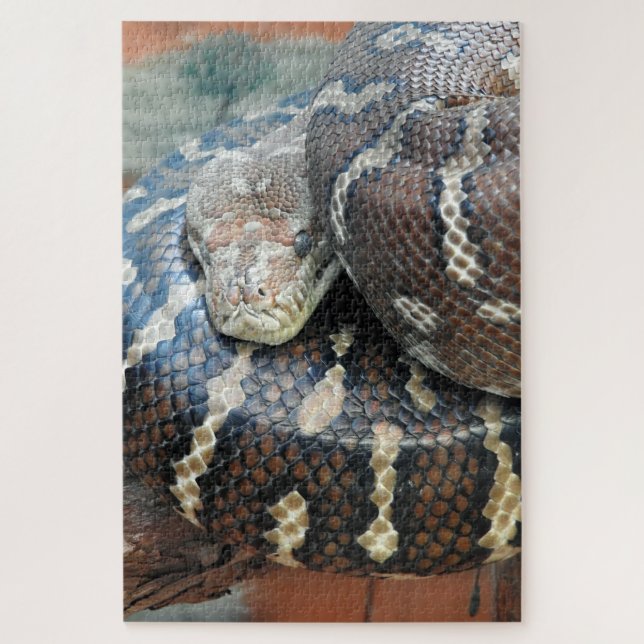 Puzzle Python de tapis centralisé (Vertical)