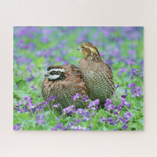Puzzle Quail sauvage