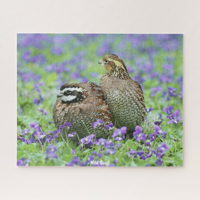 Puzzle Quail sauvage (Horizontal)