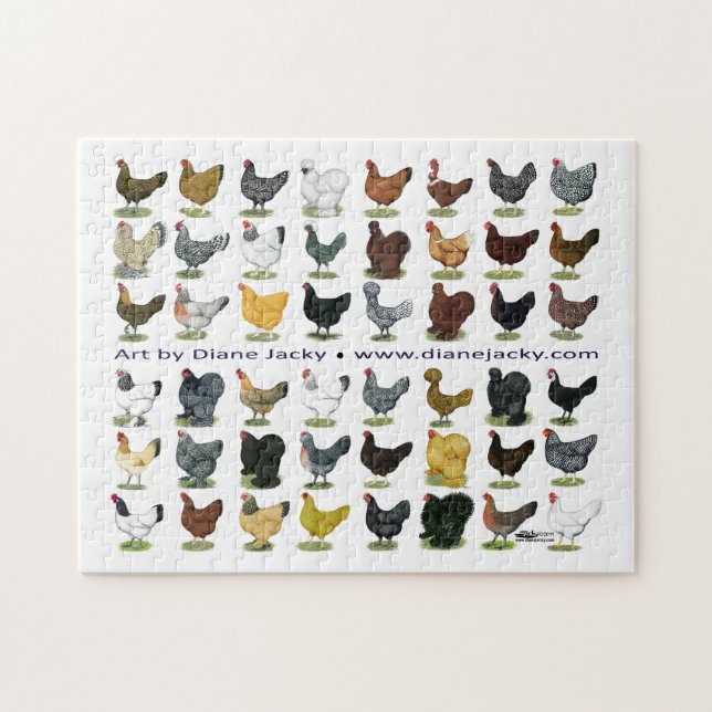 Puzzle Quarante-huit Hen Promo (Horizontal)