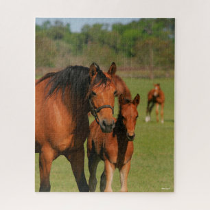 Puzzle Quartier Cheval Mare Et Foie Debout