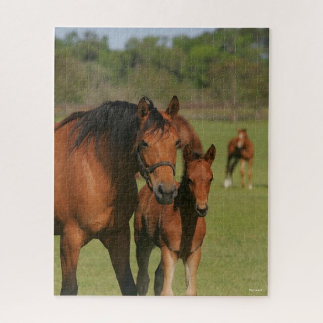 Puzzle Quartier Cheval Mare Et Foie Debout (Vertical)