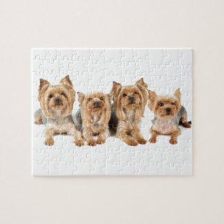 Puzzle Quatre yorkies