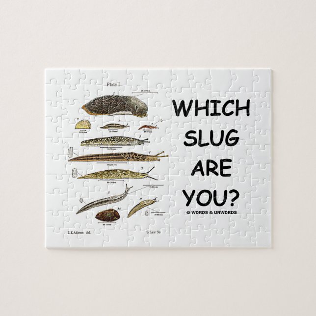 Puzzle Quel lingot êtes-vous ? (Différents types de (Horizontal)