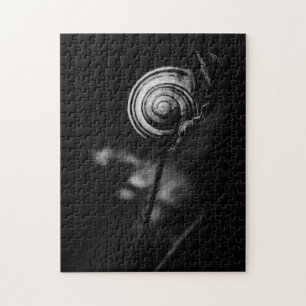 Puzzle queue de l'escargot