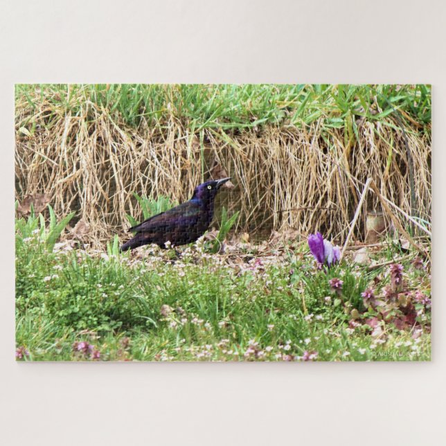 Puzzle Quiscale parmi les fleurs (Horizontal)