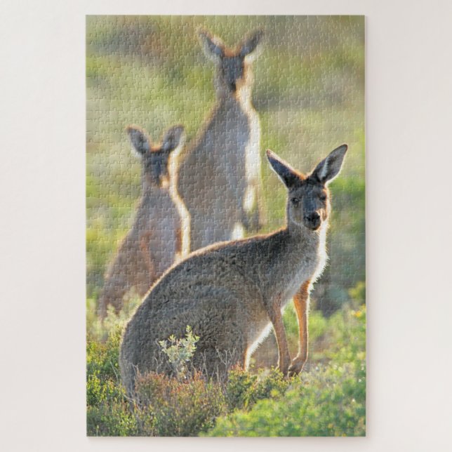 Puzzle QUOI DE PLUS ! 20 x 30 POUCES (Vertical)