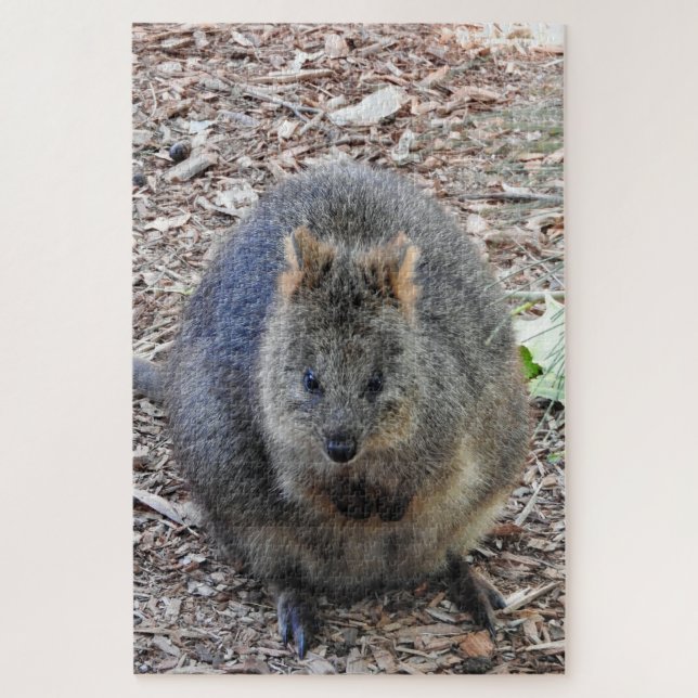 Puzzle Quokka (Vertical)