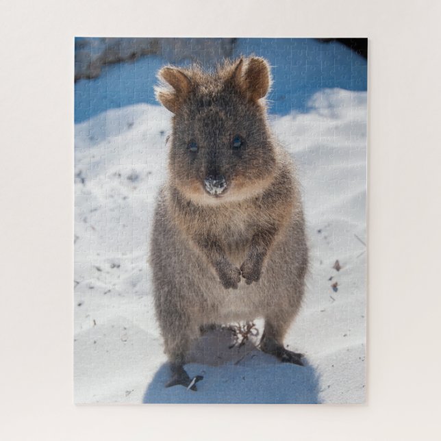 Puzzle Quokka sur la plage, 520 pièces (Vertical)
