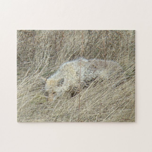 Puzzle R13 Coyote en herbe haute (Horizontal)