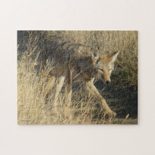 Puzzle R14 Coyote qui marche