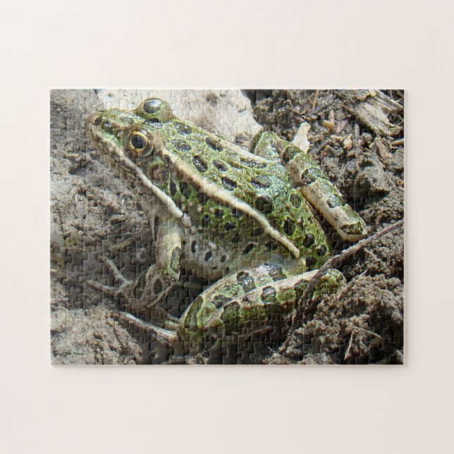 Puzzle R3 Grenouille léopard (Horizontal)
