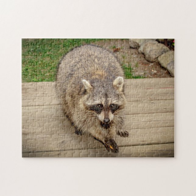 Puzzle Raccoon avec puce (Horizontal)