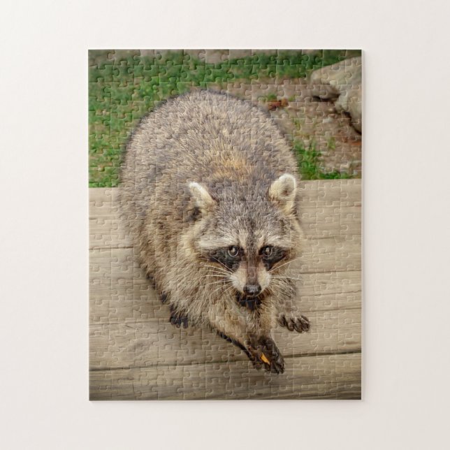Puzzle Raccoon avec puce (Vertical)