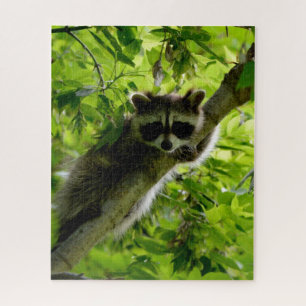 Puzzle Raccoon dans Green Tree Cute gris masqué raccoon