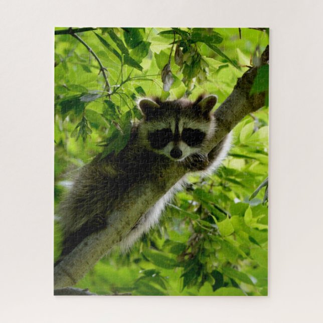 Puzzle Raccoon dans Green Tree Cute gris masqué raccoon (Vertical)
