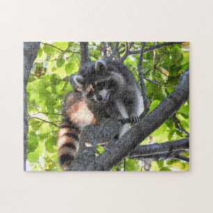 Puzzle Raccoon dans un arbre