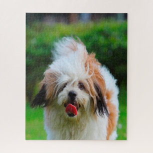 Puzzle Race de chien Lhassa Apso.