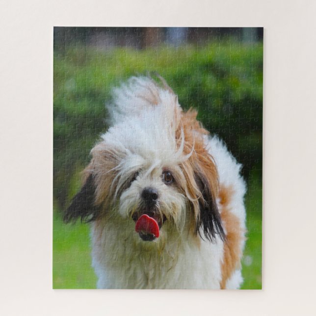 Puzzle Race de chien Lhassa Apso. (Vertical)