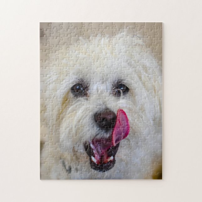 Puzzle Race de chien maltais. (Vertical)